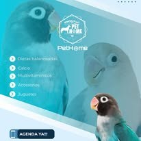 PetHome imagen informativa 1