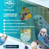 PetHome imagen informativa 3