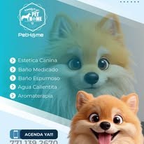 PetHome imagen informativa 4