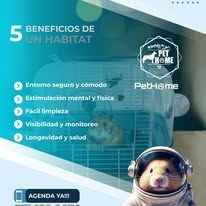 PetHome imagen informativa 5