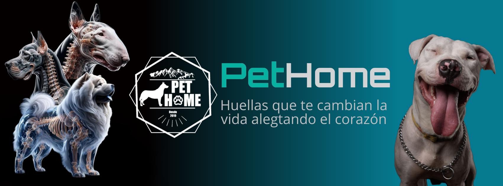 Portada PetHome